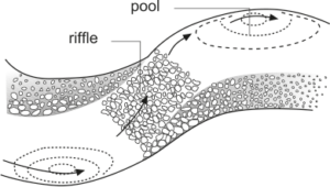 Riffle and pool - River Styles